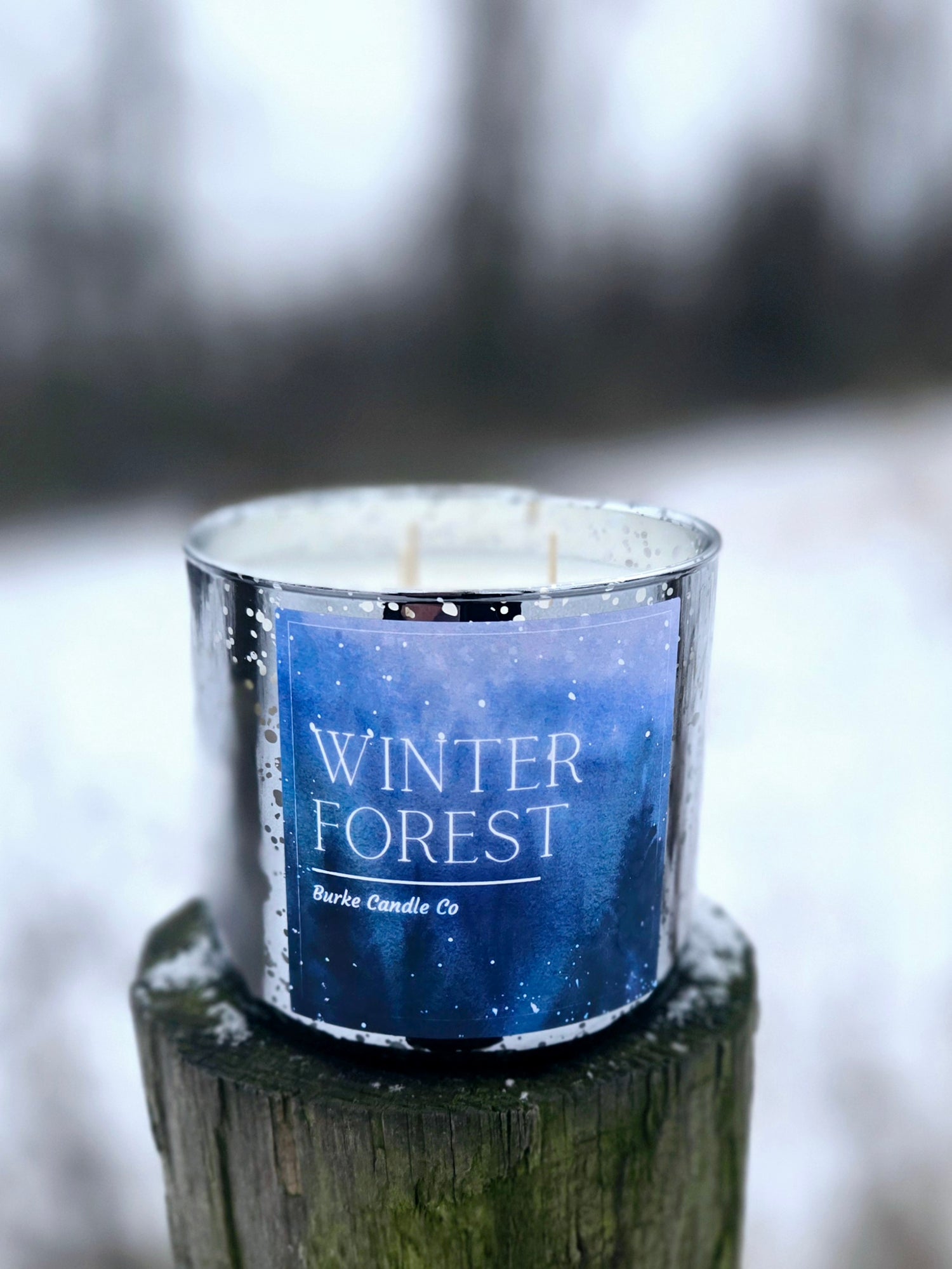 Winter Forest Collection