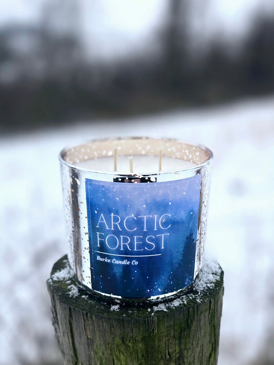 Arctic Forest